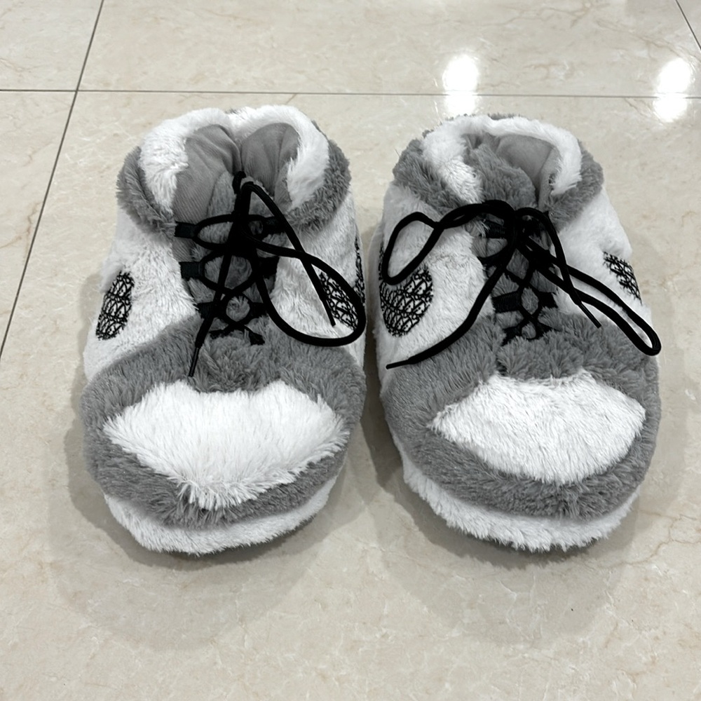 COPY - Nike Dior air Jordan slippers